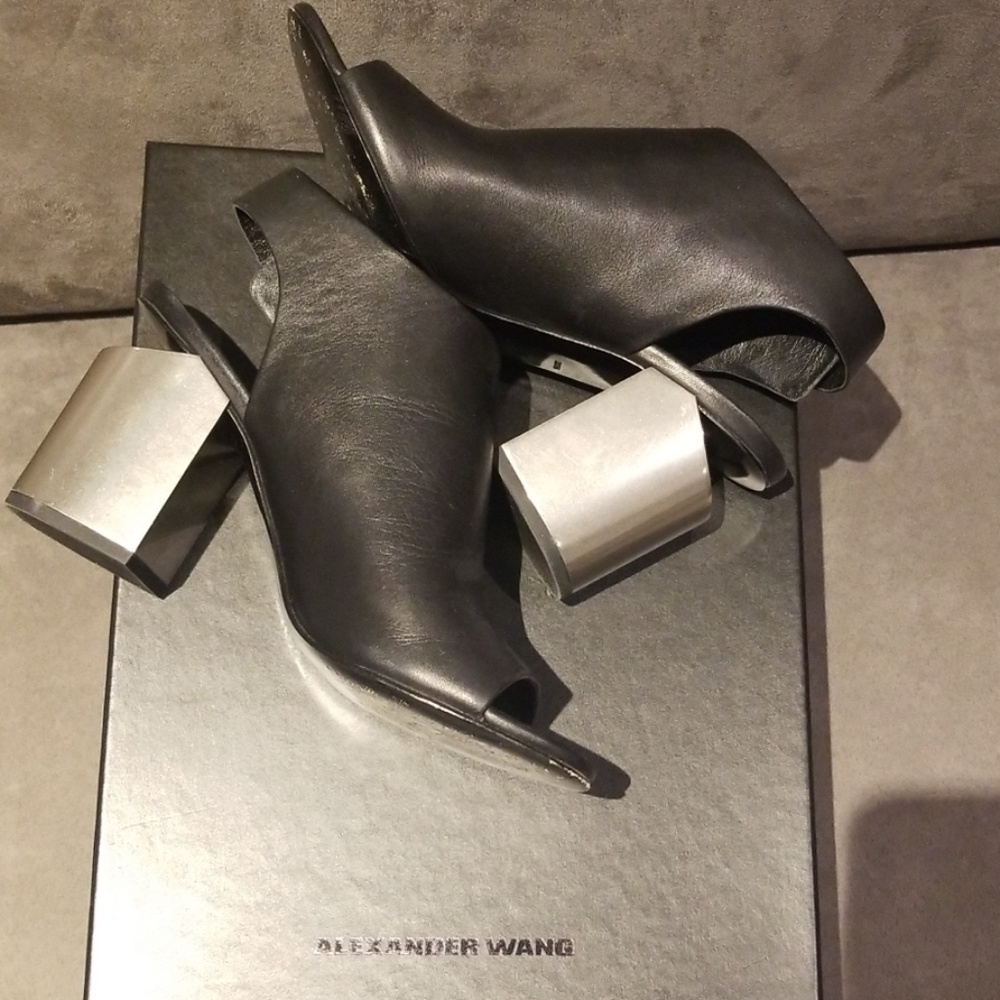 Alexander wang Nadia